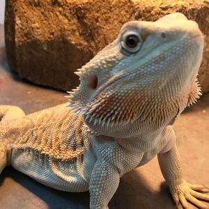 Meet your Posher, Chloe